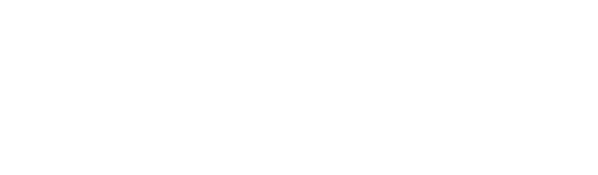 BluSky Trading Company logo